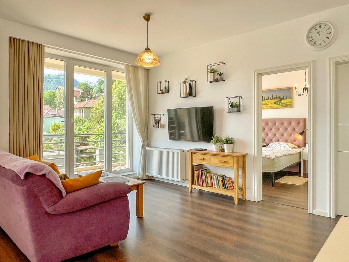 Central Premium Apartment Braşov Exteriör bild