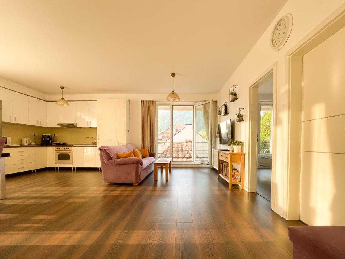 Central Premium Apartment Braşov Exteriör bild